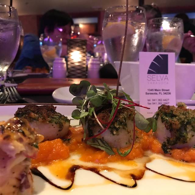 Selva Grill Restaurant Sarasota, FL OpenTable