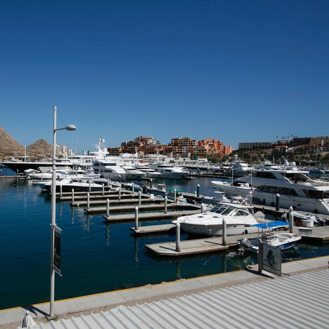 Agua Salada Restaurant - Cabo San Lucas, BCS - OpenTableAgua Salada - Cabo San Lucas, BCS on OpenTable - 웹