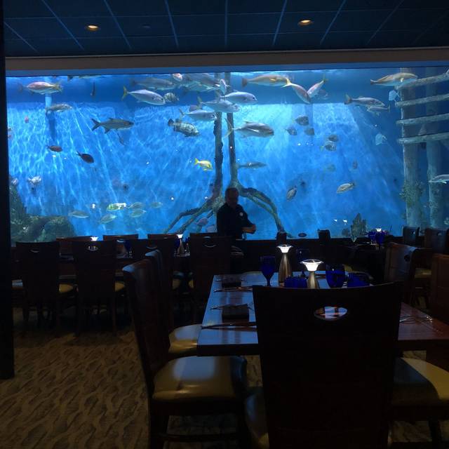 RumFish Grill Restaurant St. Pete Beach, FL OpenTable