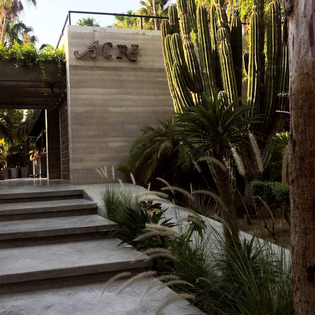 Acre Restaurant & Cocktail Bar - San José del Cabo, BCS | OpenTable