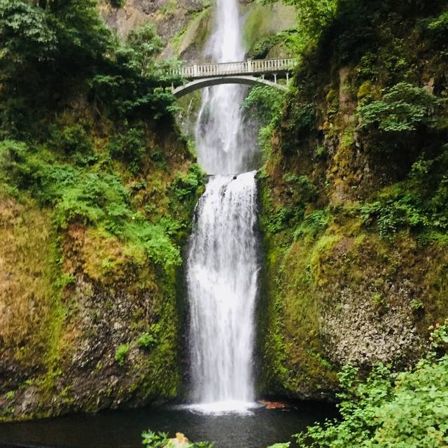 Multnomah Falls Lodge Restaurant - Bridal Veil, OR | OpenTable