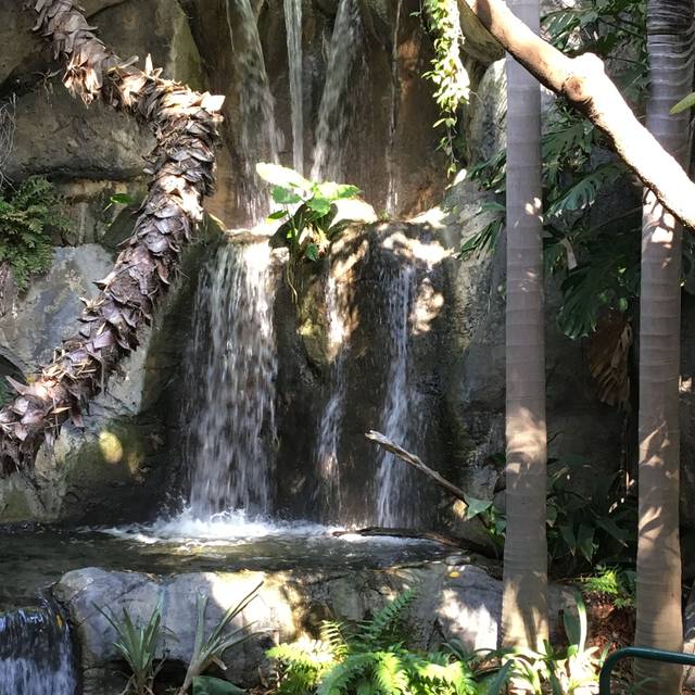 Albert's Restaurant San Diego Zoo San Diego, CA OpenTable