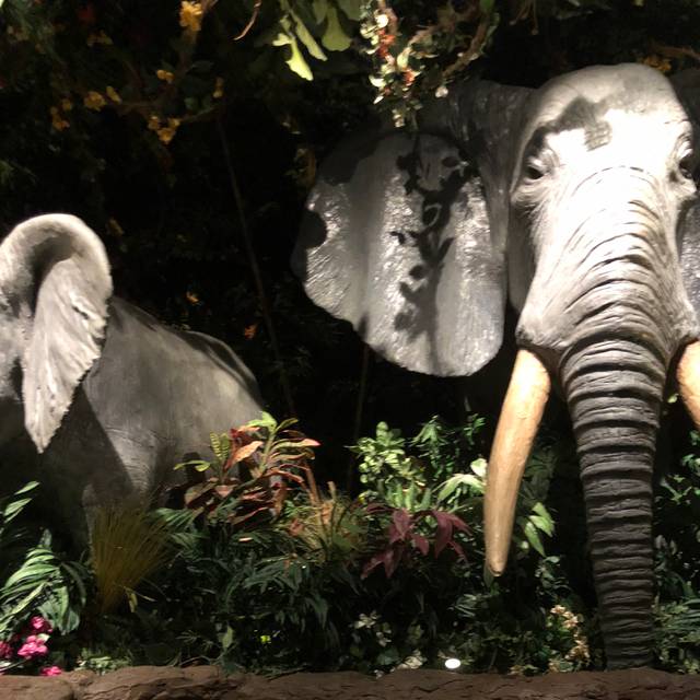 The Rainforest Cafe in the Mall of America in Minneapolis, MN 