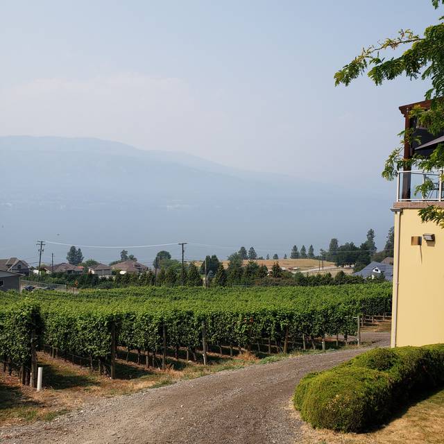 Permanently Closed Grapevine Restaurant and Patio at Gray Monk Estate