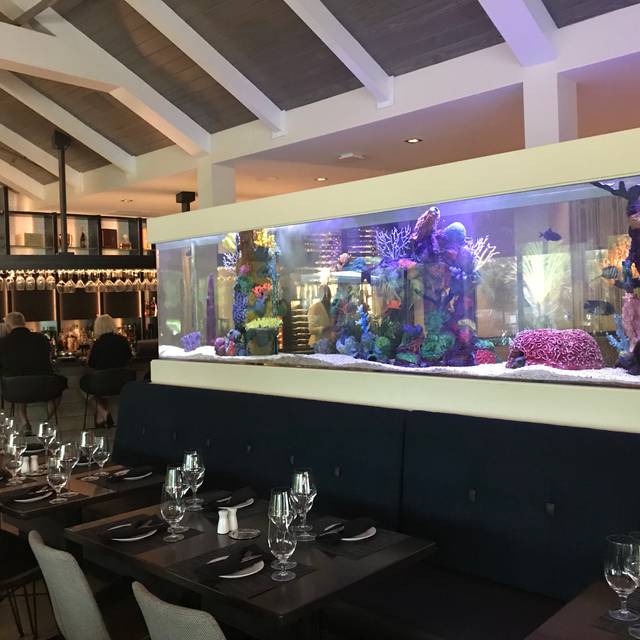 Summer House Restaurant - Siesta Key, FL | OpenTable