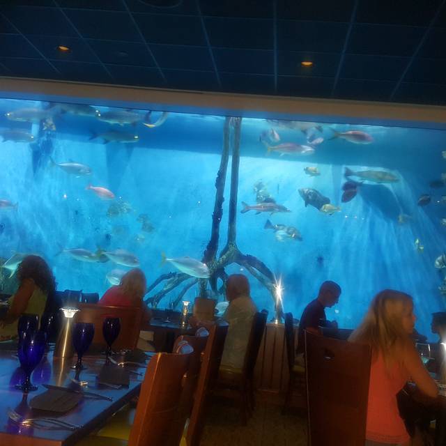 RumFish Grill Restaurant St. Pete Beach, FL OpenTable