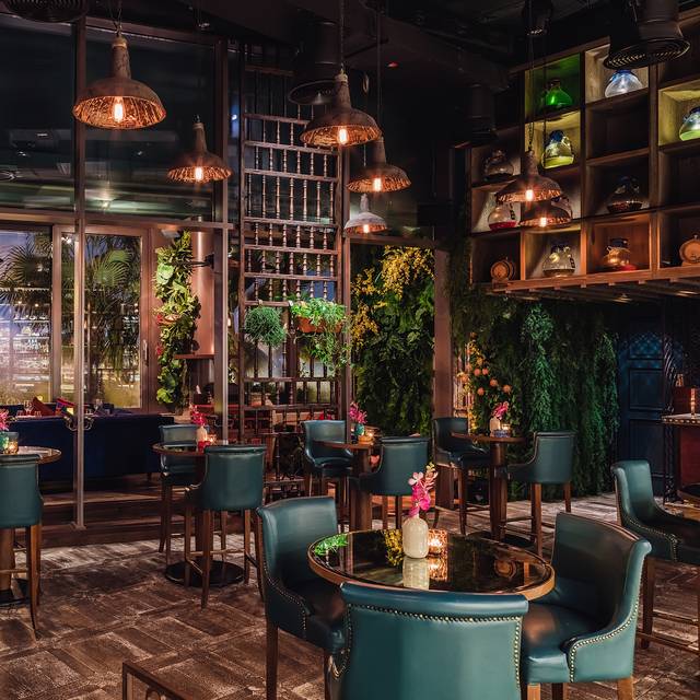 COYA Dubai Restaurant - Dubai, Dubai | OpenTable