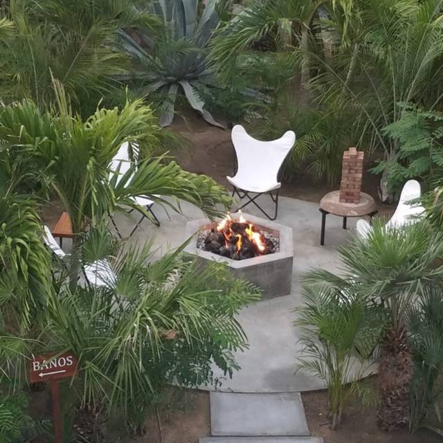 Acre Restaurant & Cocktail Bar - San José del Cabo, BCS | OpenTable