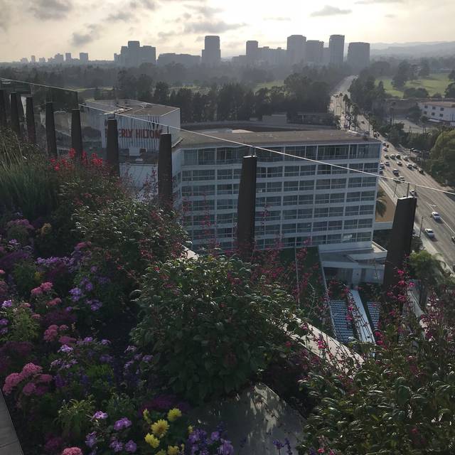 The Rooftop by JG Restaurant Beverly Hills, CA OpenTable