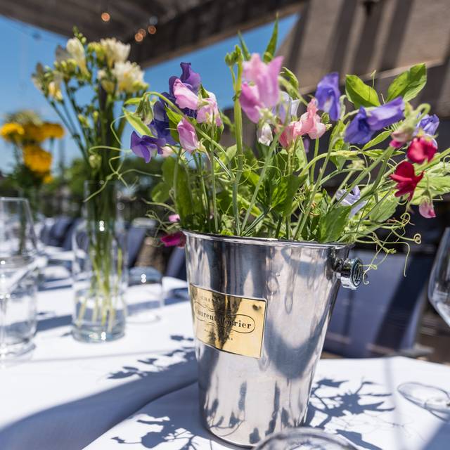 Sonoma Wine Bar & Restaurant Heights Houston, TX OpenTable