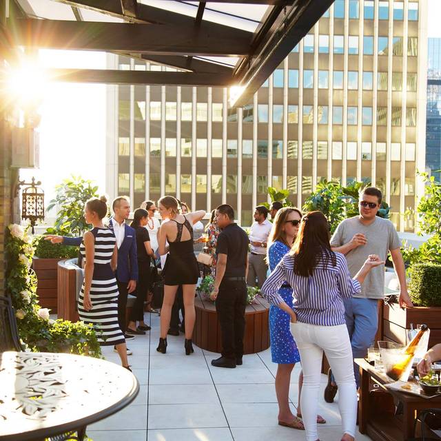 Elsie Rooftop Restaurant New York, NY OpenTable