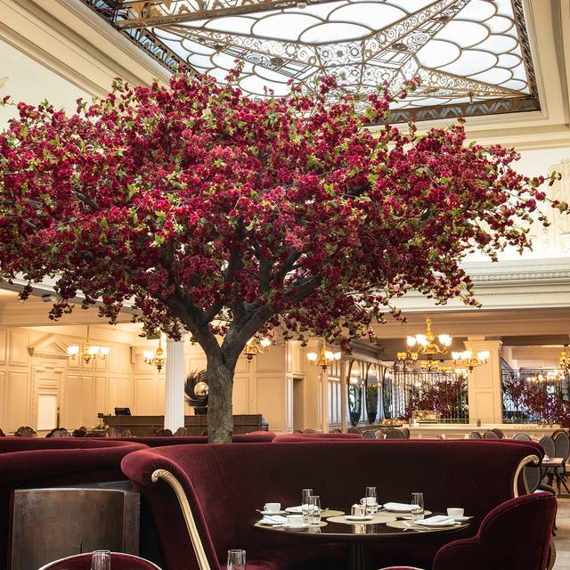 The Harrods Tea Rooms London, OpenTable