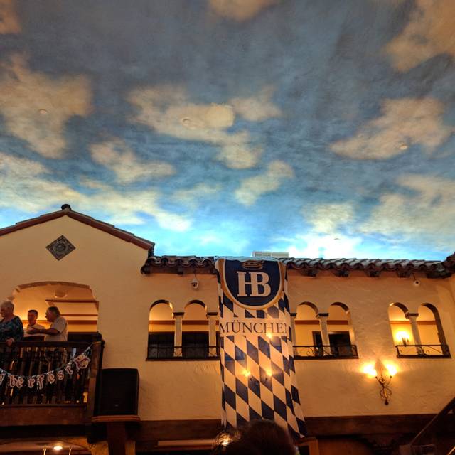 Hofbrauhaus St Petersburg Restaurant St Petersburg Fl Opentable