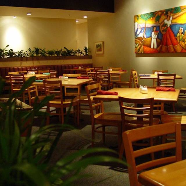 Greenery Restaurant El Paso, TX OpenTable