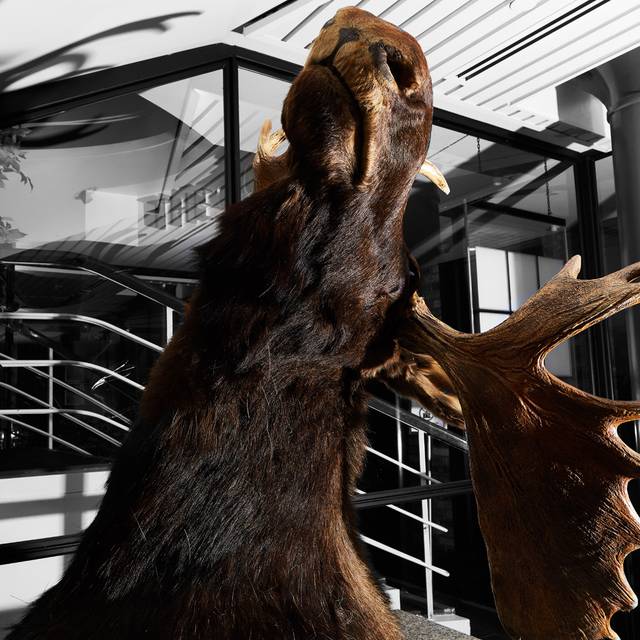 Jl George - The George on Collins, Melbourne, AU-VIC