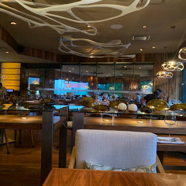 Harry's - Playa del Carmen