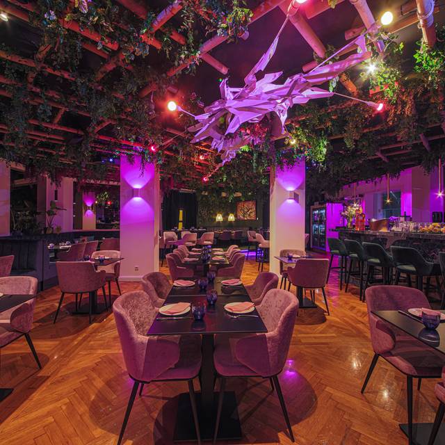 Pink Sunset Restaurant & Bar Berlin, BE OpenTable