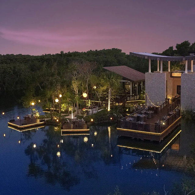 Saffron Mayakoba Restaurant Playa del Carmen, ROO OpenTable