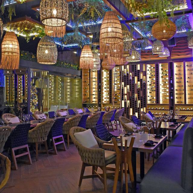 Restaurante MALENA Tijuana, BCN OpenTable