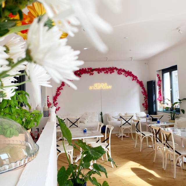 Restaurante Café Tipu Mannheim Mannheim, BW OpenTable