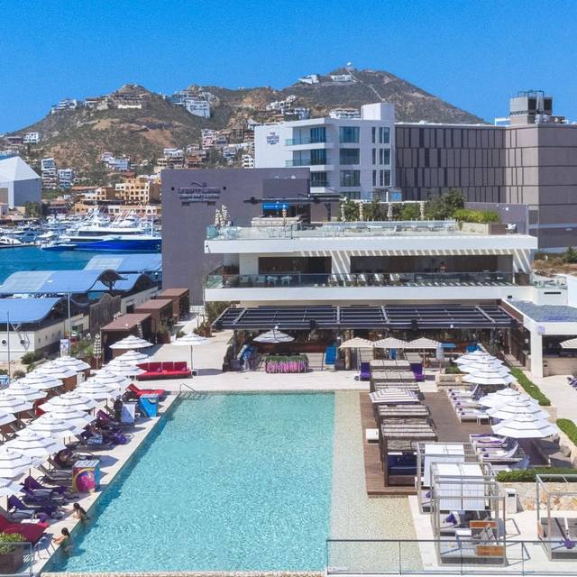 Breathless - Beach Club Restaurant - Cabo San Lucas, BCS | OpenTable