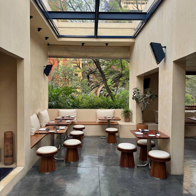 Pnina Top Rated Wine Bar OpenTable