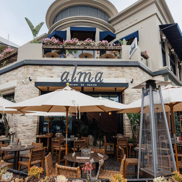 Alma Restaurant - Los Angeles, CA | OpenTable