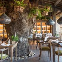 Photo du restaurant Trattoria sull'Albero