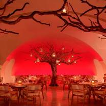 arbol at las ventanasのプロフィール画像