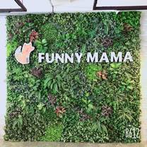 A photo of Funnymama restaurant