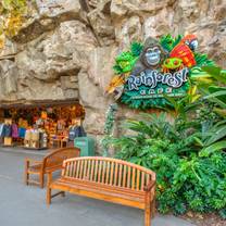 A photo of Rainforest Cafe - Disney Animal Kingdom restaurant