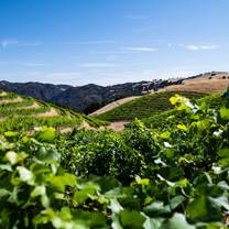 Une photo du restaurant Saison Winery Tasting Room