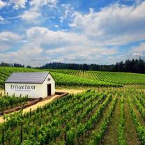 foto de restaurante trisaetum winery