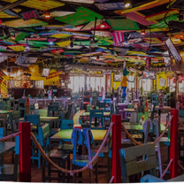 photo of señor frog's - panama city beach restaurant