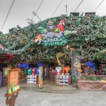 Rainforest Cafe - Sawgrass Mills (Ft. Lauderdale)
