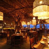 Une photo du restaurant TRIBU Restaurante & Beach Club