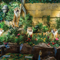 A photo of Rainforest Cafe - Niagara Falls USA restaurant