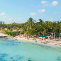 A photo of Mayan Monkey | Beach Club in Isla Mujeres restaurant