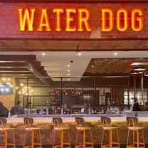 photo of water dog atlantic city restaurant
