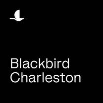 Blackbird in Charleston