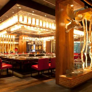 Teppan Grill- Hyatt Regency Mexico City