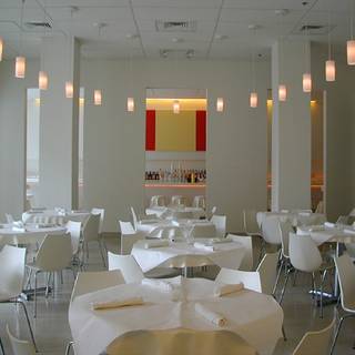 Restaurant Pick: Top Rated ($) near Bob Martinez Sports Center
