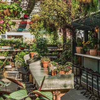 The Potting Shed