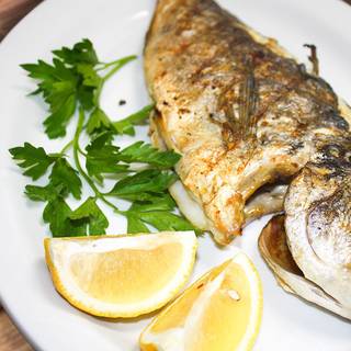 Elia Authentic Greek Taverna