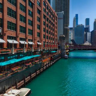 Restaurant Pick: Nearby ($$) near Cadillac Palace