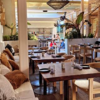 Nomade  in Austin, TX