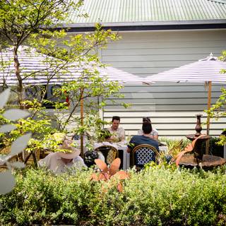 Outdoor area & Courtyard