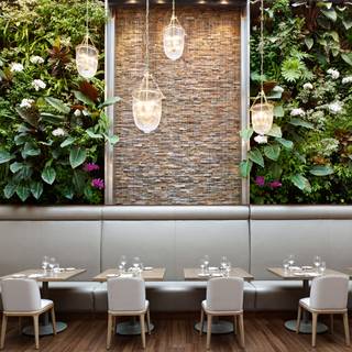 Restaurant Pick: Nearby ($$) near Koerner Hall