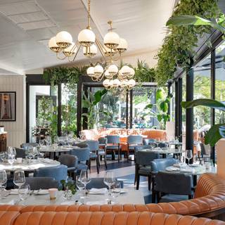 Restaurant Pick: Nearby ($$) near Dupont Circle