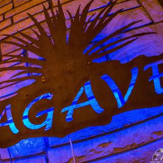 Agave